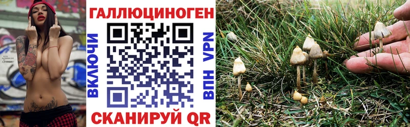 blacksprut ССЫЛКА Курлово Галлюциногенные грибы прущие грибы